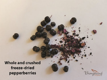 Gefriergetrocknete tasmanische Pfefferbeeren lassen sich leicht zerkleinern und behalten den gesamten Geschmack